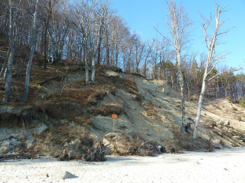 Orlowo Gdynia